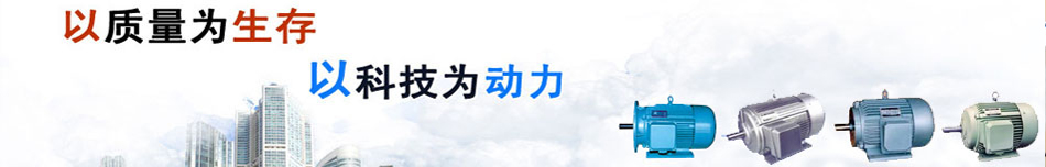 專業(yè)制造TYB、FTY系列三相永磁同步電動機(jī)